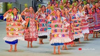 Espectacular Baile FLOR DE PIÑA  Guelaguetza 2019 [upl. by Maurili]