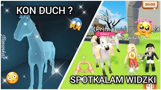 Jak zdobyć ducha konia 😱❤️ Spotkalam moje widzki ❤️🥺😙Horse Valley⭐️ Roblox [upl. by Judsen351]