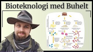 Bioteknologi  syrer og baser i fordøjelsen [upl. by Lledyr839]