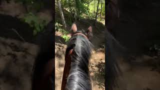 Trail ride at Indian creek trail [upl. by Auop]