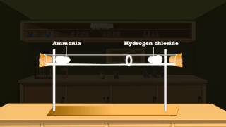 Diffusion in gases [upl. by Ahsert]