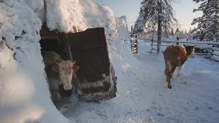 Yakutia Maldzhagar ENG SUB [upl. by Acirat510]