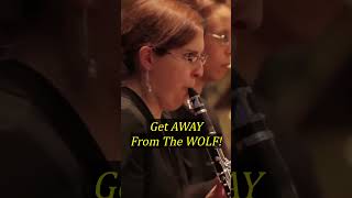 Prokofiev  quotThe Cat Gets Awayquot Peter and the Wolf Op 67 a quotsymphonic tale for childrenquot [upl. by Shuma]