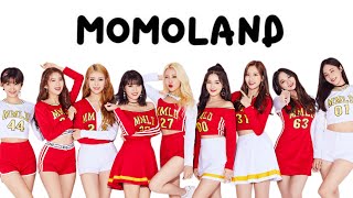 MOMOLAND Victims of Success [upl. by Harwin654]