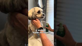 Whats that smell dogmomlife dog dogs doggrooming doglovers earthratedpartner [upl. by Tonl868]