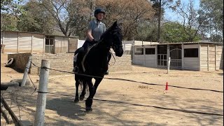 My favorite trotting pole exercise [upl. by Kemppe597]