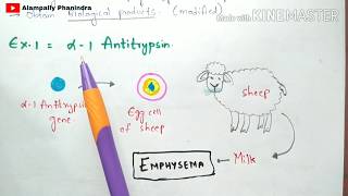 Animal Transgenesis  Transgenic animals  Process  Examples  Bio science [upl. by Annadiane]