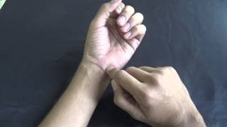 WRIST JOINT  MOVEMENTS [upl. by Millda]