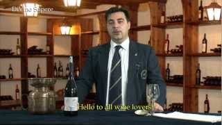 Valpolicella Classico Superiore Ripasso DOC 2009 Antolini  Videodegustazione Online wine tasting [upl. by Garry]