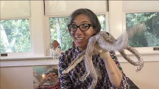 Oceans  Mollusks  Cuttlefish Squid Octopus Nautilus  Preschool  Read Aloud  Story [upl. by Reilamag]