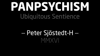 Panpsychism  Introduction SjöstedtH  slides [upl. by Mishaan782]