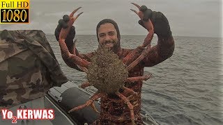 Chasse sous marine Bretagne  Pêche aux araignées [upl. by Hepsibah]