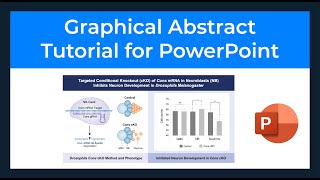 How to Make Graphical Abstracts in PowerPoint with Free Templates [upl. by Normie]