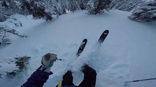 Ski Touring  Secret Stash in Kootenay Pass with my Siberian Husky [upl. by Maroj]