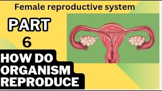 Part 6  Reproduction  Female reproductive system  mensuration cycle  10th Class science [upl. by Stephania221]