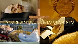 INCORRUPTIBLE BODIES OF SAINTS [upl. by Nosdrahcir]