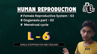 L  06  Human Reproduction  NEET 2025  Class 12 NEET2025 zoology ncert [upl. by Dahc]