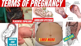 Labor and birth terms  pregnancy medical terms  medical terms  Obstetric Terminology pregnancy [upl. by Ahtela]