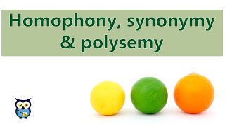 Homophony Synonymy Polysemy [upl. by Gavrah958]