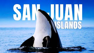 The ULTIMATE Travel Guide to the San Juan Islands WA [upl. by Pero]