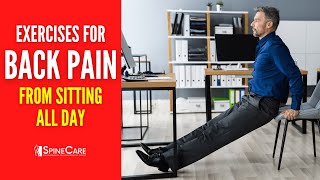 4 Exercises to Fix Back Pain From Sitting All Day [upl. by Eednahs]