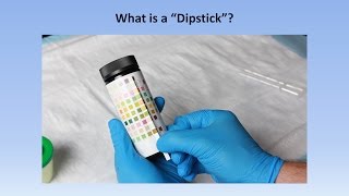 Interpretation of the Urinalysis Part 2  The Dipstick [upl. by Allveta]