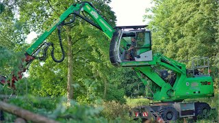 Sennebogen 718E Felling Trees [upl. by Poliard]