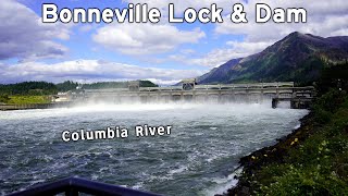 Visiting the Bonneville Lock And Dam in Oregon  A National Historic Landmark [upl. by Yroj]