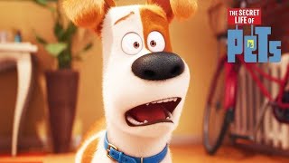 The Secret Life of Pets Full Movie Facts And Review  Hollywood Movie  Full ExplainationKevin Hart [upl. by Poock]