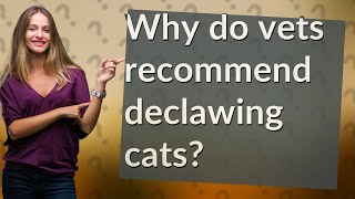 Why do vets recommend declawing cats [upl. by Liv]