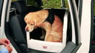 Hund sicher auf Rückbank Dog Safety Bridge Isofix von DOGSTYLER® [upl. by Leuqim]