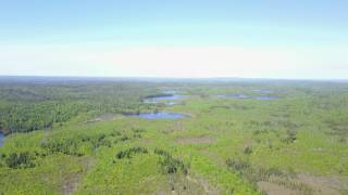 BWCA Entry Points 51Missing Link and 52Brant Lake [upl. by Blancha599]