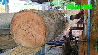 Sawmills industri penggergajian kayu Meranti sawmill [upl. by Adnwahs]