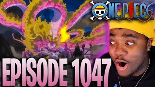 MOMOs NEW Adult Transformation Revealed  One Piece Episode 1047 Reaction [upl. by Llertnauq]