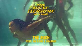 Janelle Monáe  The Rush feat Nia Long amp Amaarae Official Audio [upl. by Neelrahs]