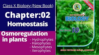 Ch2 Homeostasis  Osmotic adjustment in plants  class 10 new biology book  Sindh textbook board [upl. by Bacchus]