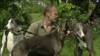 Dumfriesshire amp Cumbria Greyhound Rescue [upl. by Parsifal]