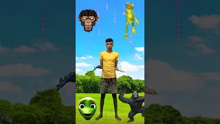 Head to Gorilla Frog Alien Monkey  Dami to cosita dance magic video [upl. by Ahseym436]