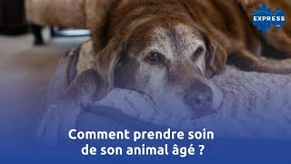 Comment prendre soin de son animal âgé [upl. by Ysdnyl]