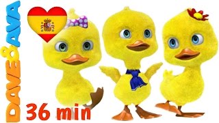 😁 Canciones Infantiles  Cinco Patitos  Colección de Canciones Infantiles de Dave y Ava 😁 [upl. by Eilyak]