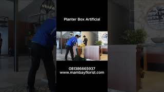 Planter box artificial dekorasi home artificialplant plants planterbox restaurantdecor [upl. by Erdnaed]