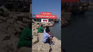 essaouira port  enjoying fresh fish for lunch morocco moroccolife essaouira [upl. by Etyak884]