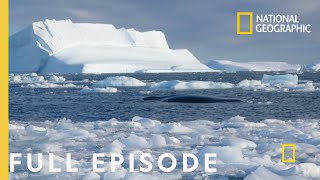 Storming Antarctica Full Episode  Continent 7 Antarctica [upl. by Mcmillan]