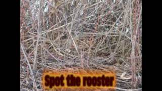 Rooster Ridge Pheasant Club Slideshow Missoula MT [upl. by Nilhtac]