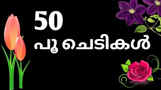 പൂക്കൾflowers names malayalam poochedikal malayalam flowering plants malaylampookkalude perukal [upl. by Pendergast293]