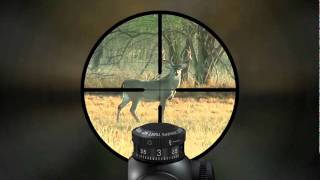 VX3 CDS Leupold Scopes [upl. by Pierro]