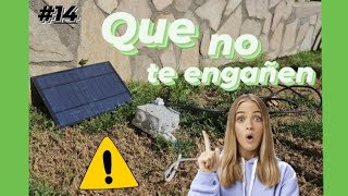 ✅ Como  SABER y HACER ELECTRÓNICA para ARPA ELÉCTRICA  AVISPA VELUTINA 👈🐝 [upl. by Dressel]