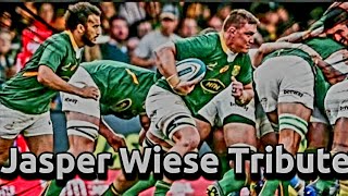 Jasper Wiese Tribute  Springboks Eighth man 8 Rugby 🏉 Player  Big Hits Tries amp GREATEST MOMENTS [upl. by Kathe366]