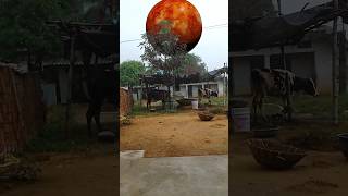 New planet🌎🌎 3D special effect 3Danimation video future technology shortsvfxmagicmahendra [upl. by Eirdua513]