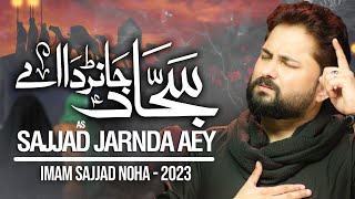 Nohay 2023  Sajjad Jarnda Aey  Syed Raza Abbas Zaidi  Punjabi Noha 2023  Mola Sajjad Noha [upl. by Terris]